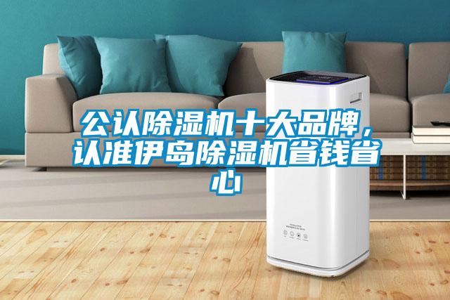 公認(rèn)除濕機(jī)十大品牌，認(rèn)準(zhǔn)伊島除濕機(jī)省錢(qián)省心