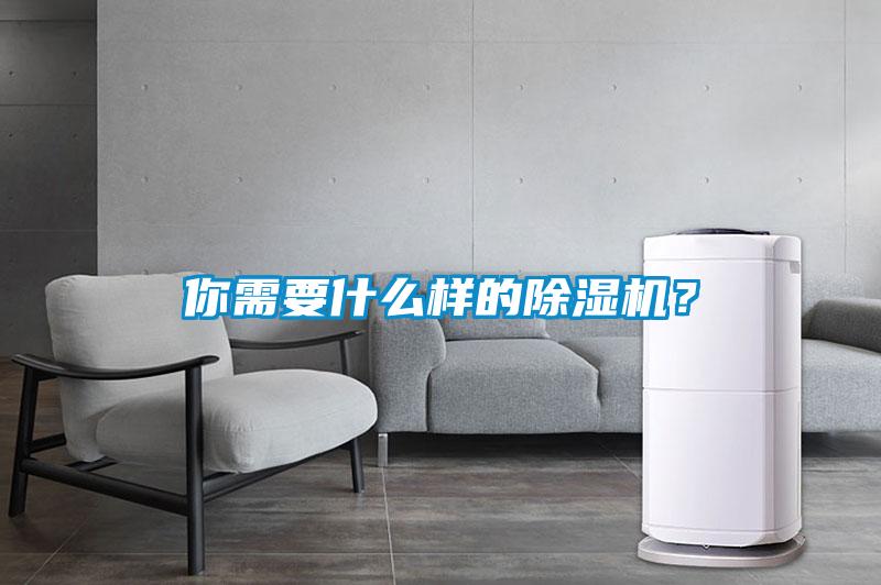 你需要什么樣的除濕機(jī)？