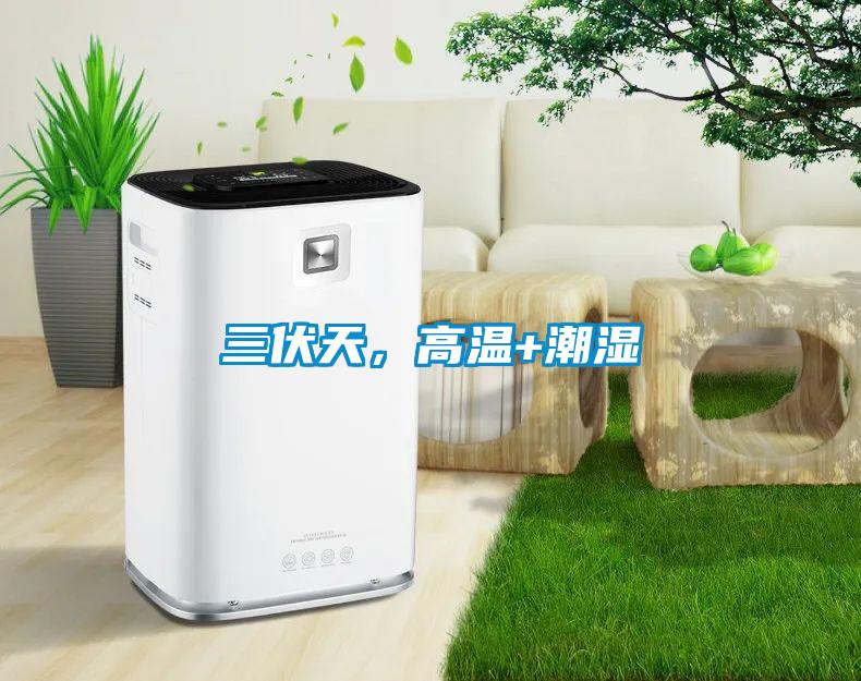三伏天，高溫+潮濕