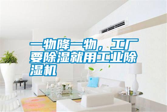 一物降一物，工廠要除濕就用工業(yè)除濕機