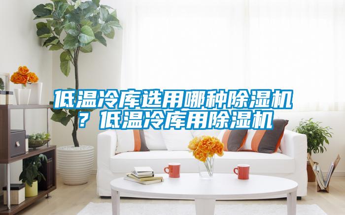 低溫冷庫(kù)選用哪種除濕機(jī)？低溫冷庫(kù)用除濕機(jī)