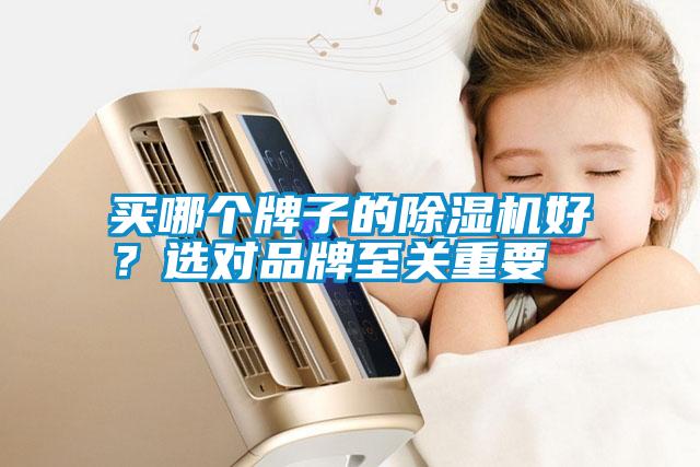 買哪個(gè)牌子的除濕機(jī)好？選對品牌至關(guān)重要