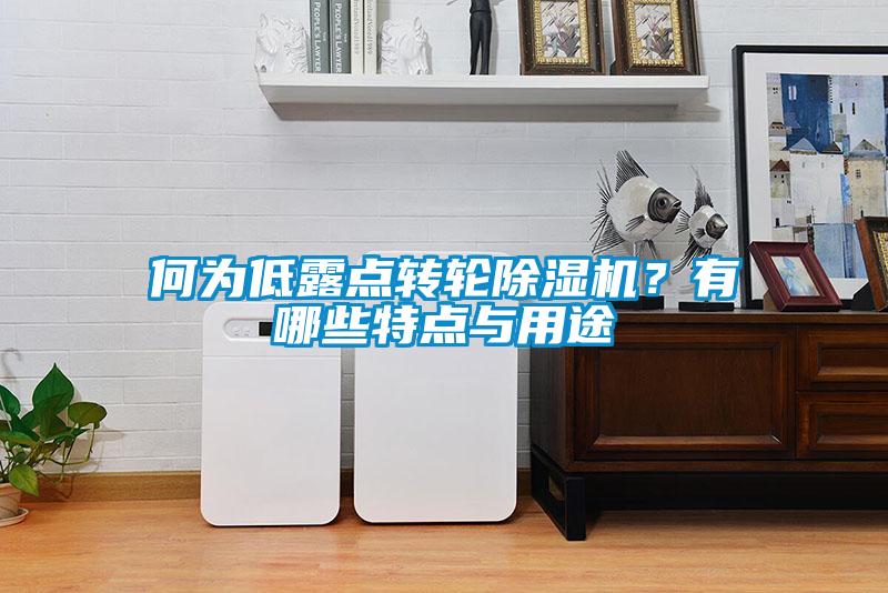 何為低露點轉(zhuǎn)輪除濕機？有哪些特點與用途