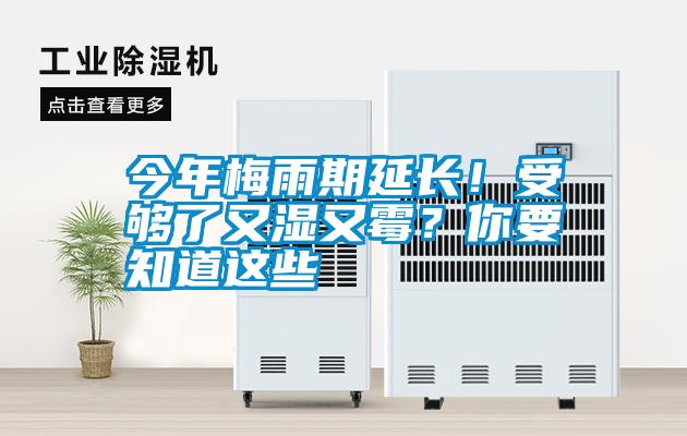 今年梅雨期延長！受夠了又濕又霉？你要知道這些
