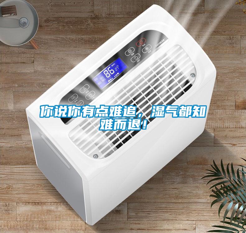 你說(shuō)你有點(diǎn)難追，濕氣都知難而退！