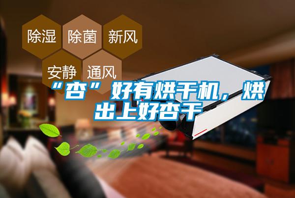 “杏”好有烘干機，烘出上好杏干