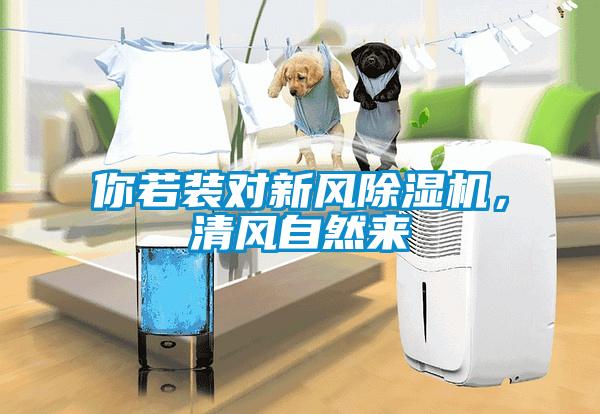 你若裝對(duì)新風(fēng)除濕機(jī)，清風(fēng)自然來(lái)