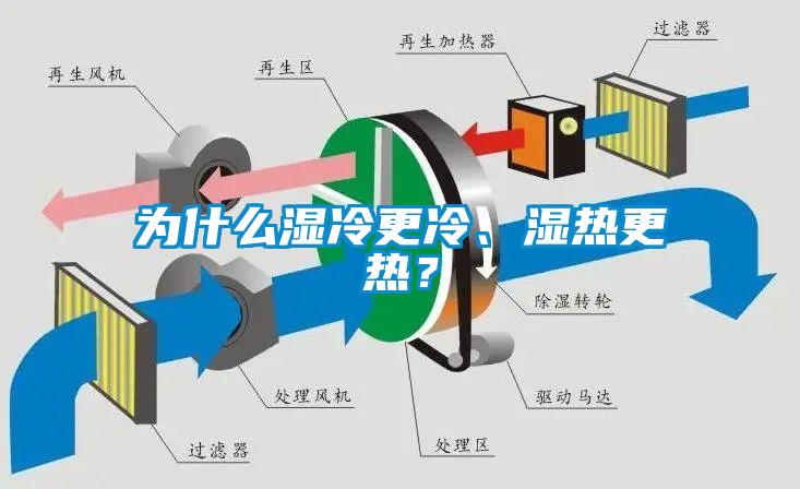 為什么濕冷更冷、濕熱更熱？