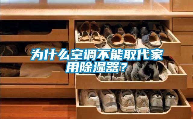 為什么空調(diào)不能取代家用除濕器？