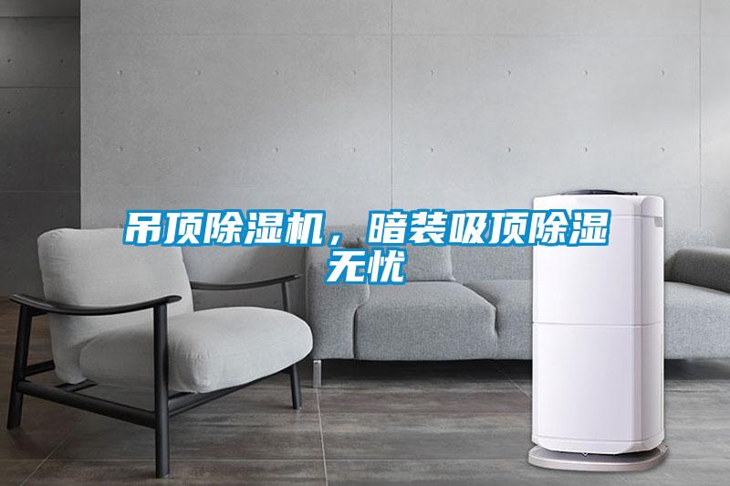 吊頂除濕機(jī)，暗裝吸頂除濕無(wú)憂