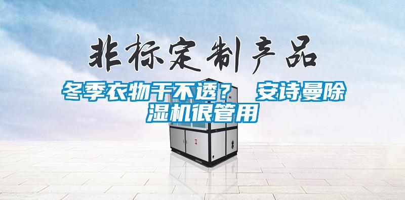 冬季衣物干不透？ 安詩曼除濕機很管用