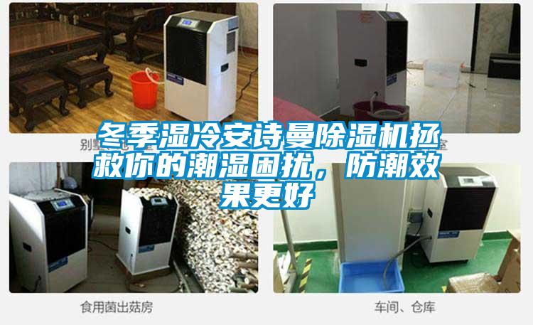 冬季濕冷安詩(shī)曼除濕機(jī)拯救你的潮濕困擾，防潮效果更好