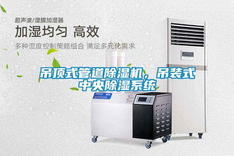 吊頂式管道除濕機(jī)，吊裝式中央除濕系統(tǒng)