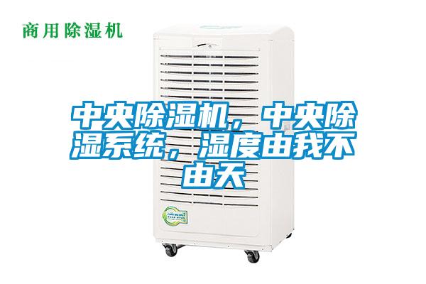 中央除濕機，中央除濕系統(tǒng)，濕度由我不由天
