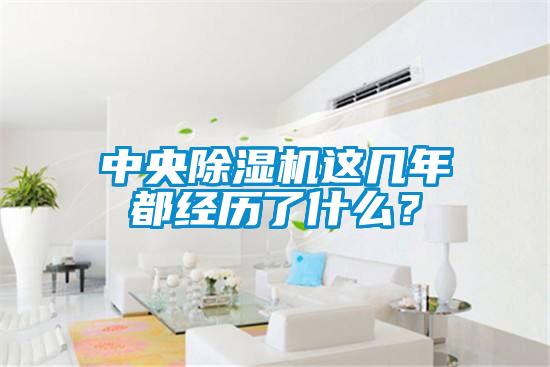 中央除濕機(jī)這幾年都經(jīng)歷了什么？
