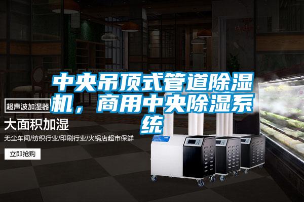 中央吊頂式管道除濕機，商用中央除濕系統(tǒng)