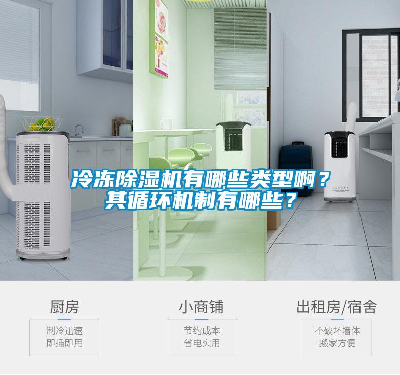 冷凍除濕機(jī)有哪些類型??？其循環(huán)機(jī)制有哪些？
