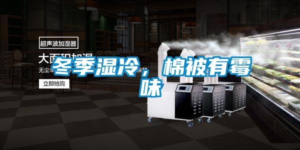 冬季濕冷，棉被有霉味