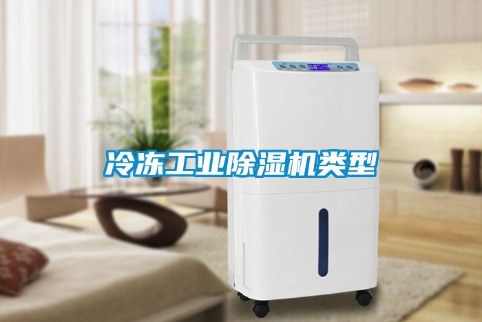 冷凍工業(yè)除濕機(jī)類(lèi)型