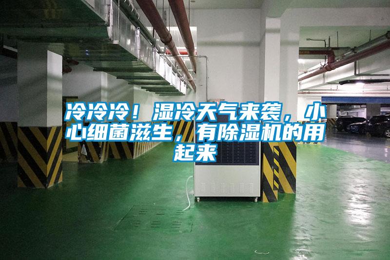 冷冷冷！濕冷天氣來襲，小心細菌滋生，有除濕機的用起來