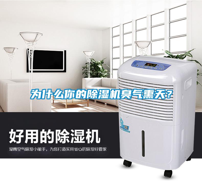 為什么你的除濕機臭氣熏天？