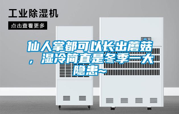 仙人掌都可以長出蘑菇，濕冷簡直是冬季一大隱患~