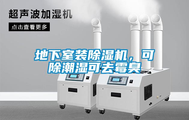 地下室裝除濕機(jī)，可除潮濕可去霉臭