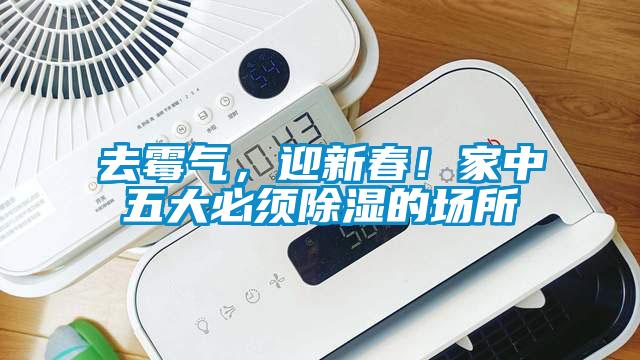 去霉氣，迎新春！家中五大必須除濕的場所