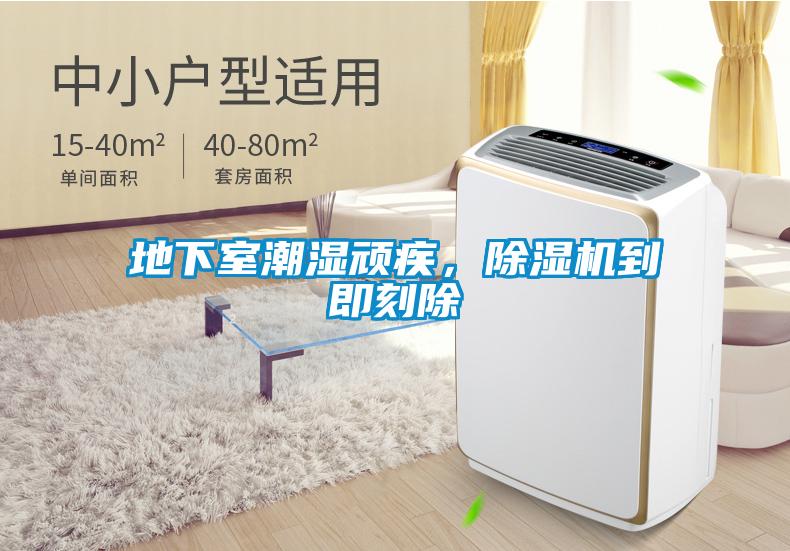 地下室潮濕頑疾，除濕機(jī)到即刻除