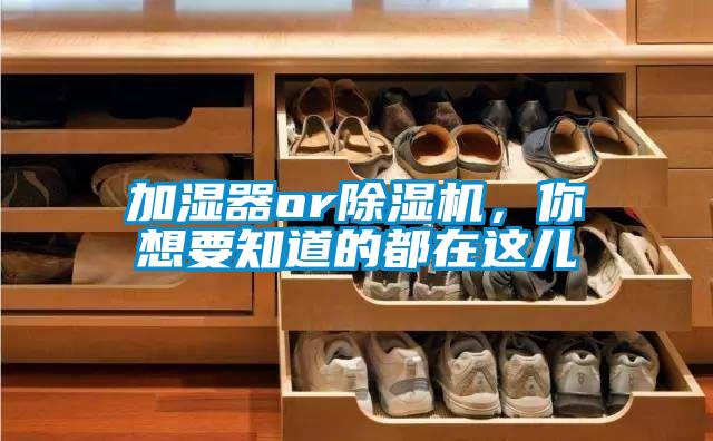 加濕器or除濕機(jī)，你想要知道的都在這兒