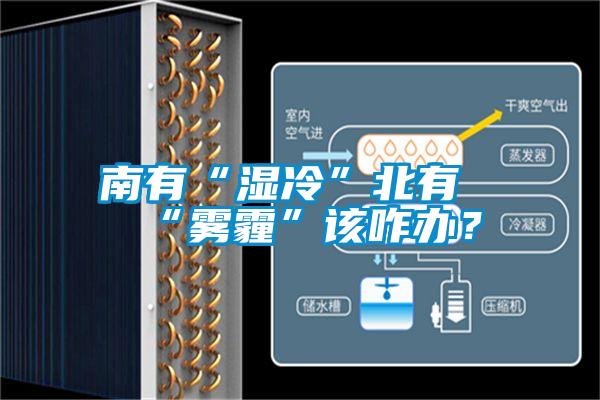 南有“濕冷”北有“霧霾”該咋辦？