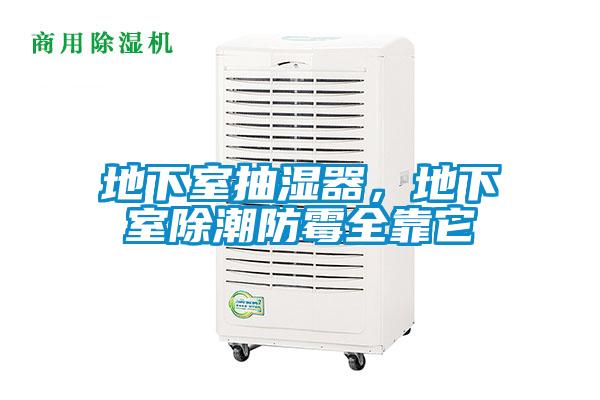 地下室抽濕器，地下室除潮防霉全靠它