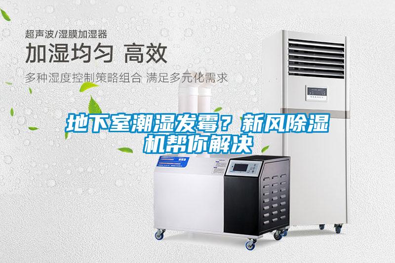 地下室潮濕發(fā)霉？新風(fēng)除濕機(jī)幫你解決