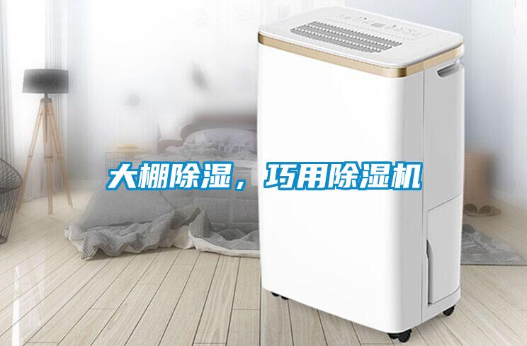 大棚除濕，巧用除濕機(jī)