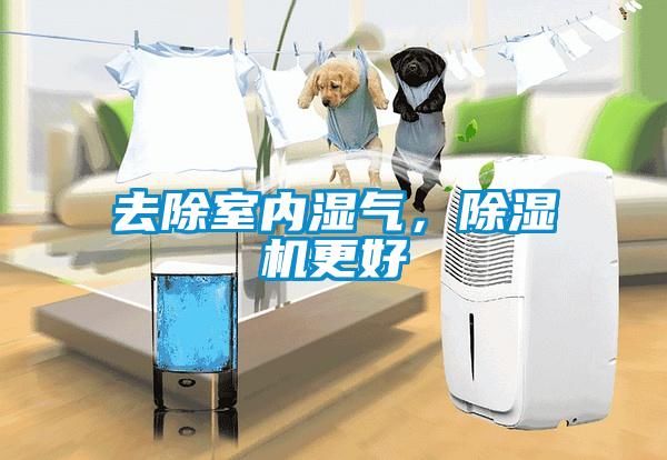 去除室內(nèi)濕氣，除濕機(jī)更好