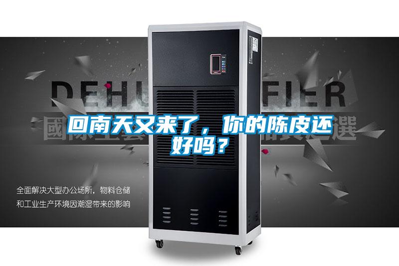 回南天又來(lái)了，你的陳皮還好嗎？