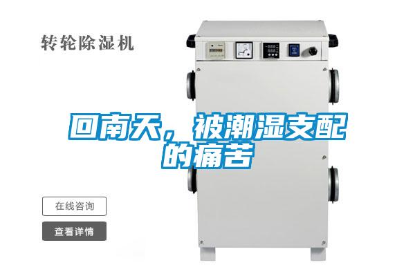 回南天，被潮濕支配的痛苦