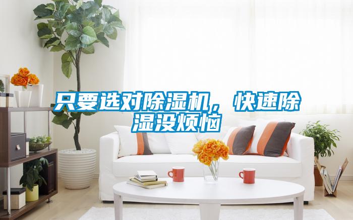 只要選對除濕機，快速除濕沒煩惱