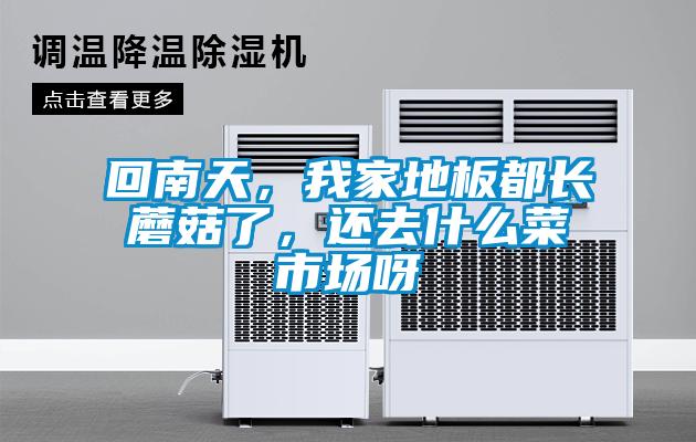 回南天，我家地板都長(zhǎng)蘑菇了，還去什么菜市場(chǎng)呀