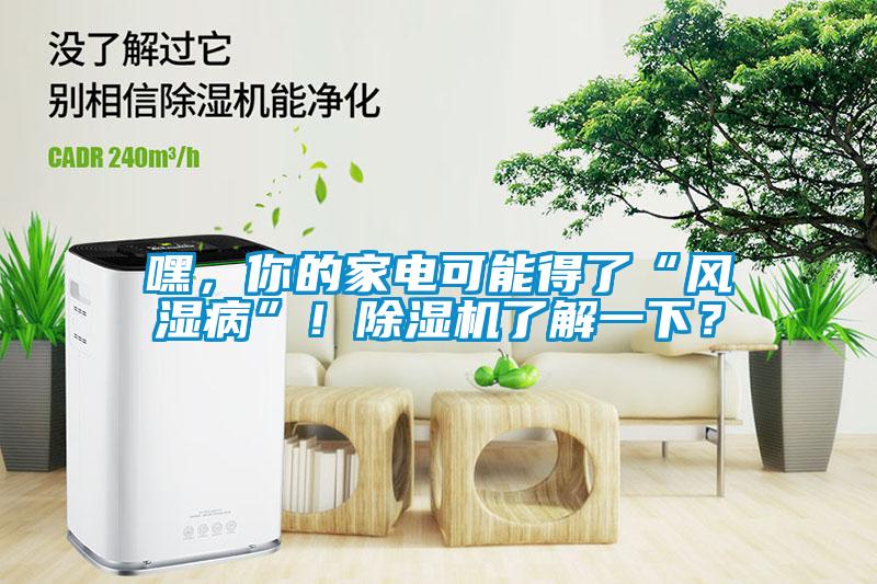 嘿，你的家電可能得了“風(fēng)濕病”！除濕機(jī)了解一下？