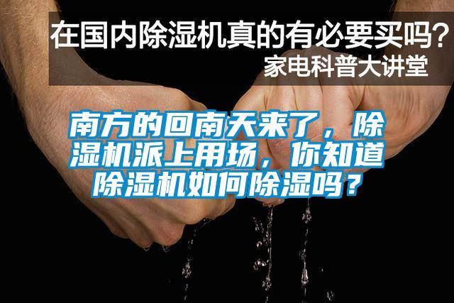 南方的回南天來(lái)了，除濕機(jī)派上用場(chǎng)，你知道除濕機(jī)如何除濕嗎？