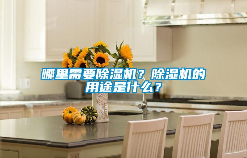 哪里需要除濕機(jī)？除濕機(jī)的用途是什么？