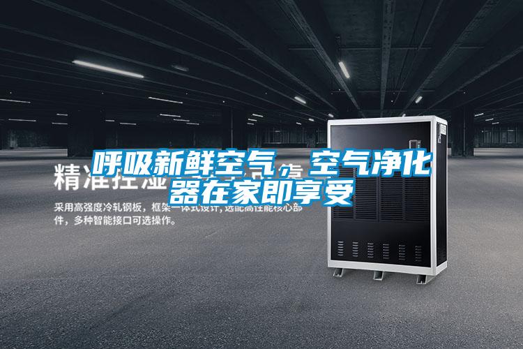 呼吸新鮮空氣，空氣凈化器在家即享受