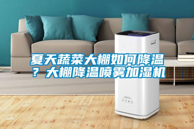 夏天蔬菜大棚如何降溫？大棚降溫噴霧加濕機(jī)