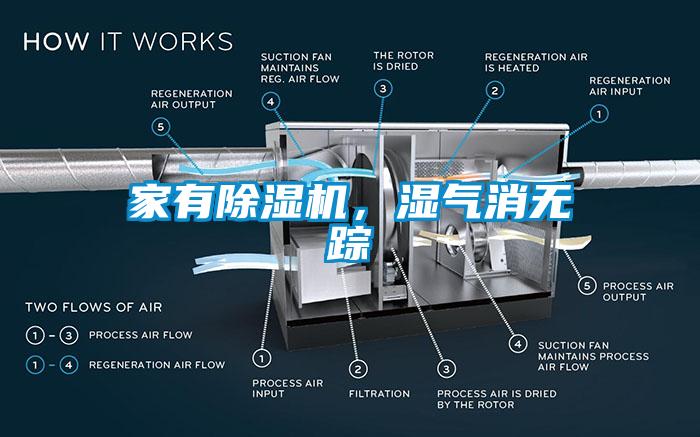 家有除濕機(jī)，濕氣消無蹤