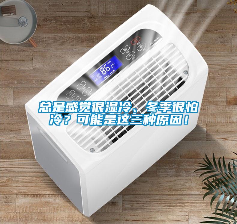 總是感覺很濕冷、冬季很怕冷？可能是這三種原因！