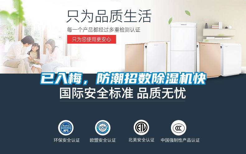 已入梅，防潮招數(shù)除濕機(jī)快