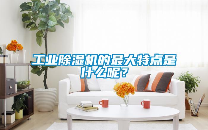 工業(yè)除濕機(jī)的最大特點(diǎn)是什么呢？
