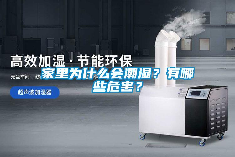 家里為什么會(huì)潮濕？有哪些危害？