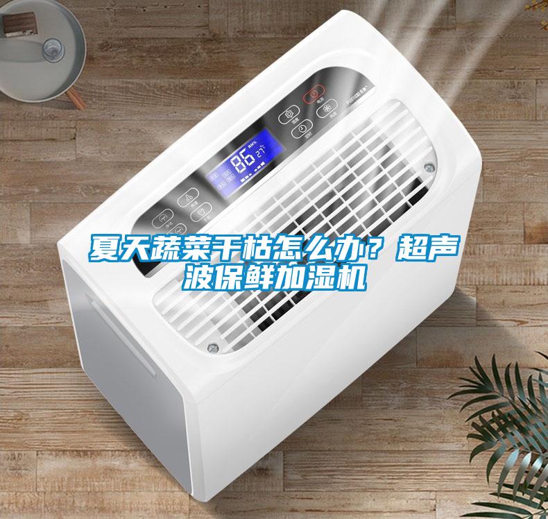 夏天蔬菜干枯怎么辦？超聲波保鮮加濕機